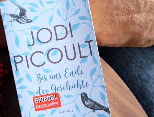 Jodi Picoult - Bis ans Ende der Geschichte